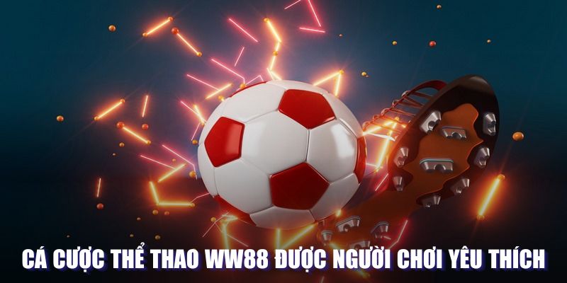 Cá cược thể thao được người chơi yêu thích trên WW88